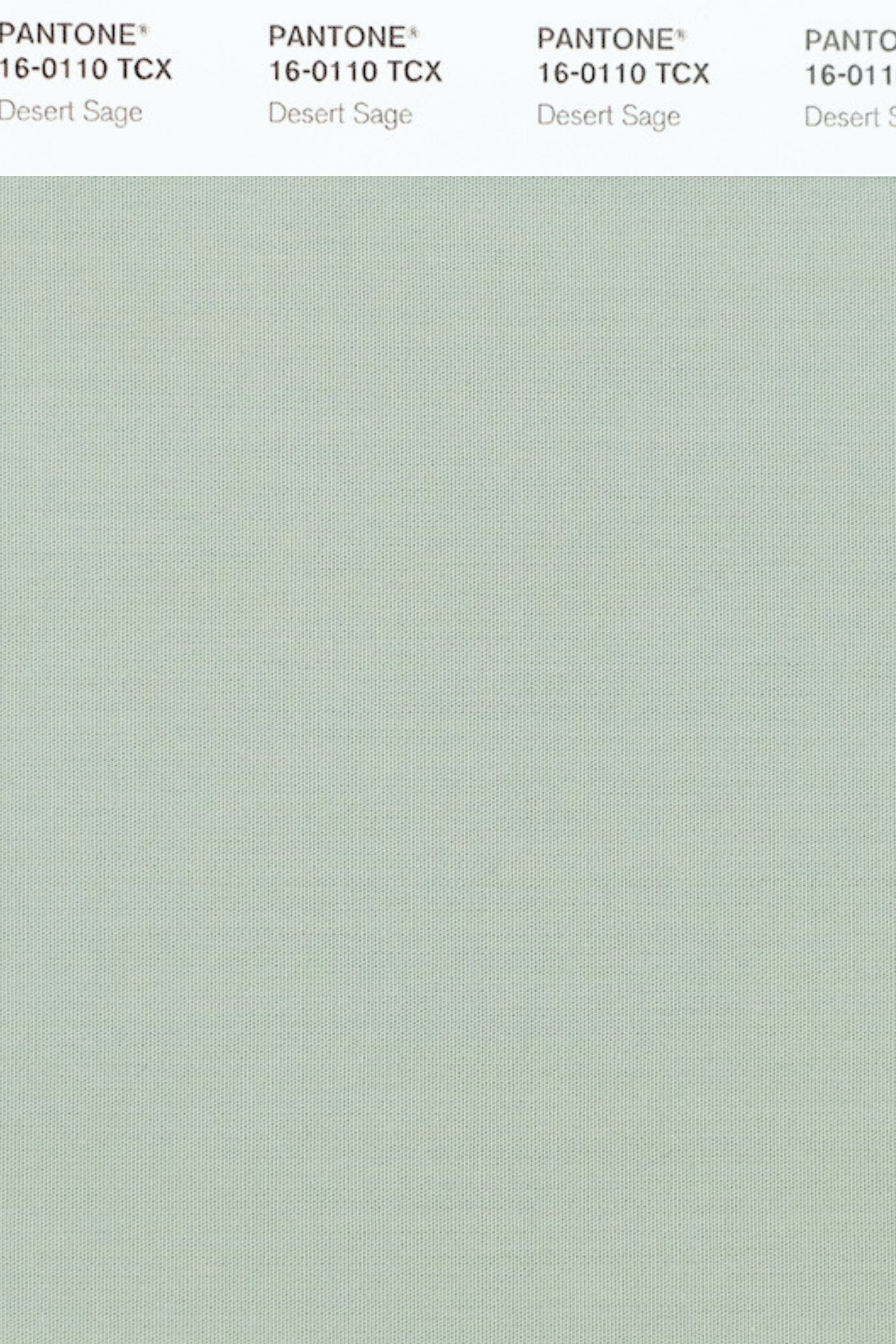 Limited Edition - Sage Green 2.0 - July '26